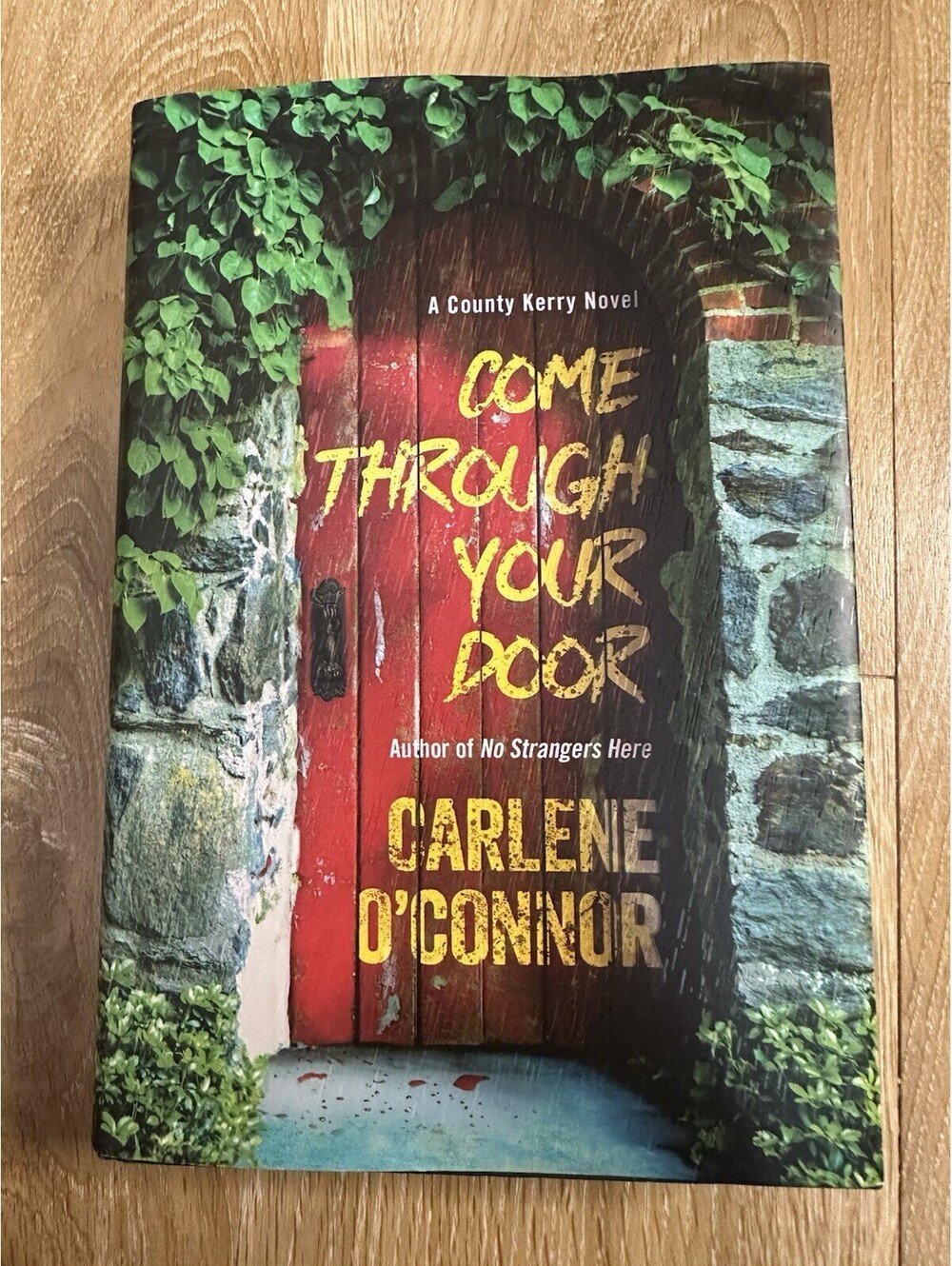 Come Through Your Door - Carlene O'Connor 2025 HC